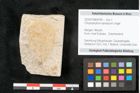 Foto (Objekt + Etikett) von Chrysophyllum olympicum Unger (NHMW-GEO-2024-0188-8164)